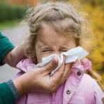 A young girl with allergies has her nose blown by a parent.